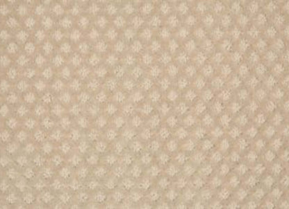 Retro Revival