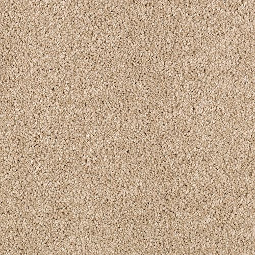 Delightful Charm in Midsummer Light Carpet