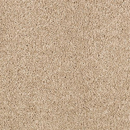 Delightful Charm in Midsummer Light Carpet