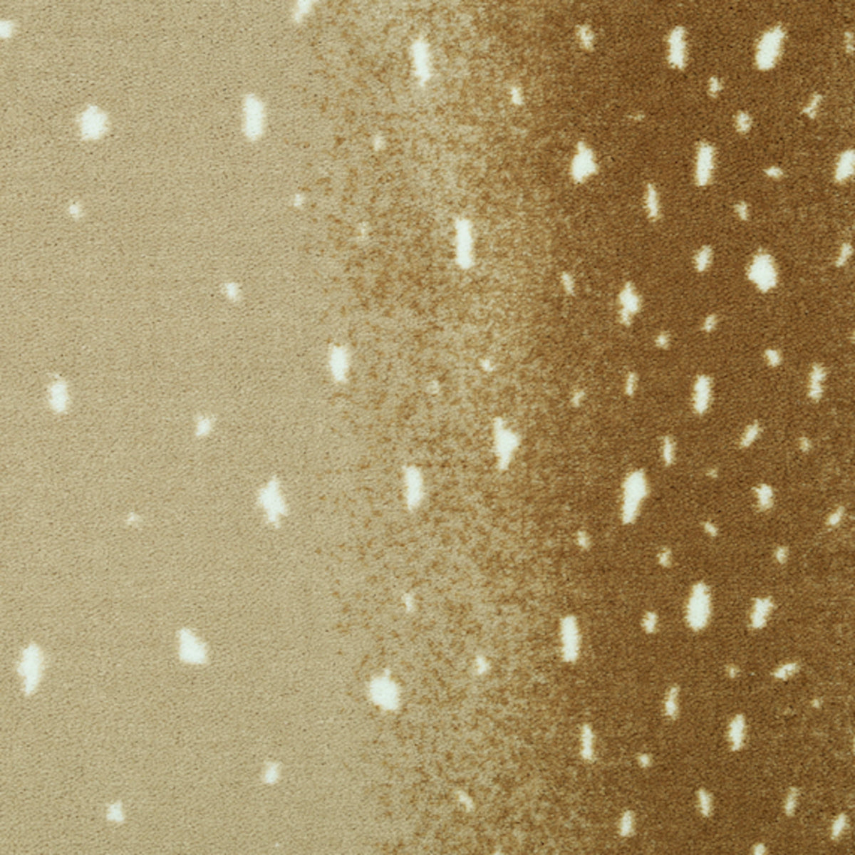 SAVANNA SCENES