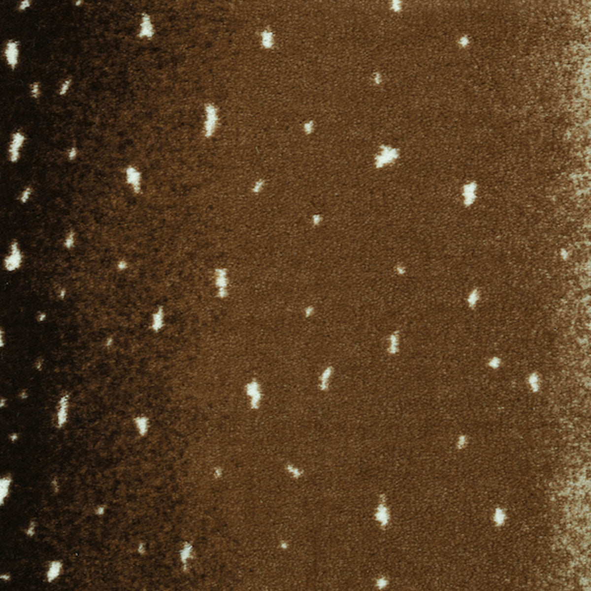 SAVANNA SCENES