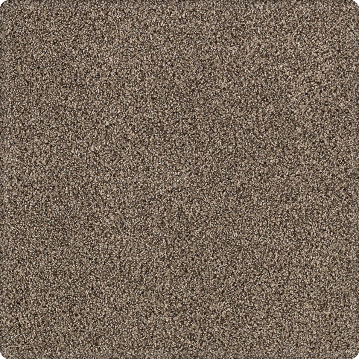 Tranquil Shades in Boulevard Carpet