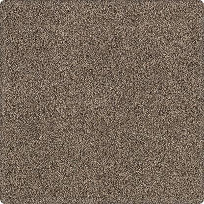 Tranquil Shades in Boulevard Carpet