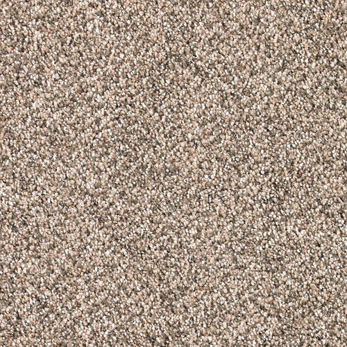 Desired Elegance in Ceramic Beige Carpet