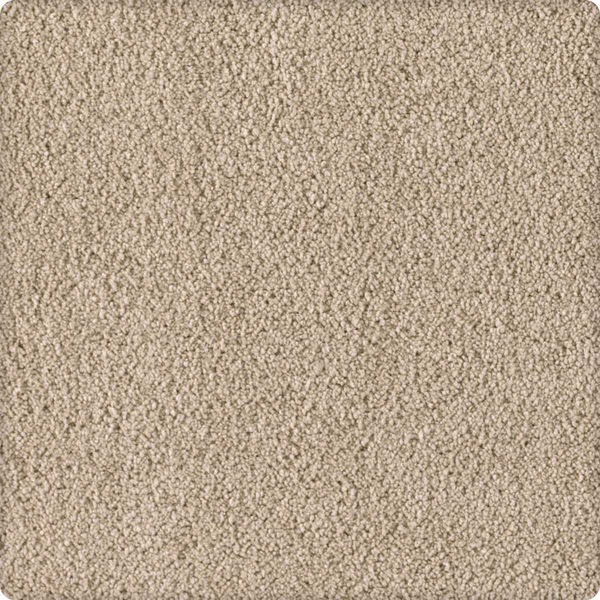 Soft Eloquence in Sometimes Carpet