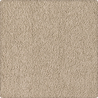 Soft Eloquence in Sometimes Carpet