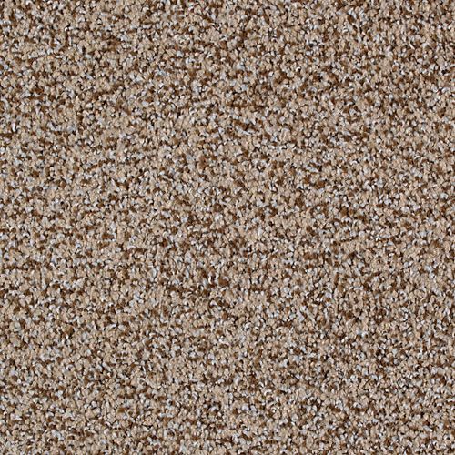 Peaceful Quality in Bliss Carpet