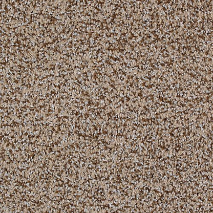 Peaceful Quality in Bliss Carpet