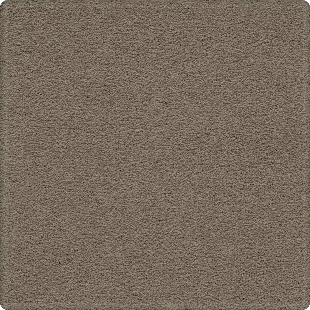 Tempting Appeal in Graceful Carpet