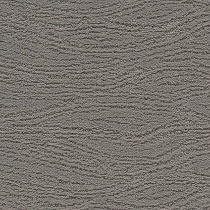 Untamed Chic in Aspen Summit Carpet