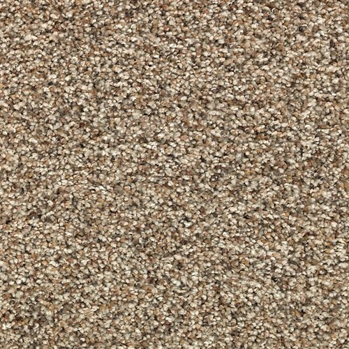 Instinctive Flair in Quiet Light Carpet