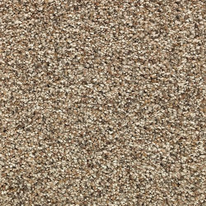 Instinctive Flair in Quiet Light Carpet