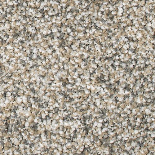 Magnetic Allure in Cedar Chest Carpet