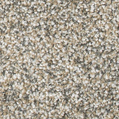 Magnetic Allure in Cedar Chest Carpet
