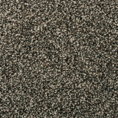 Magnetic Beauty in Universal Umber Carpet