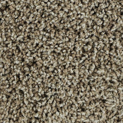 Noteworthy Style in Maple Sugar Carpet