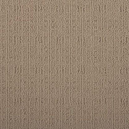 Luxurious Direction in Cuban Sand Carpet