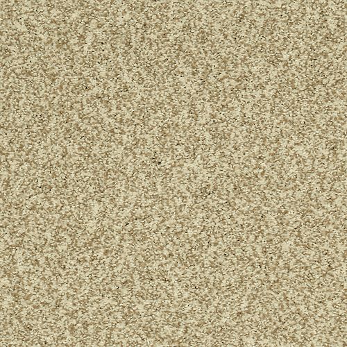 Modern View in Renoir Bisque Carpet