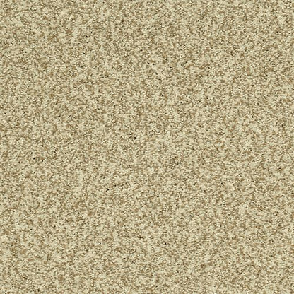Modern View in Renoir Bisque Carpet