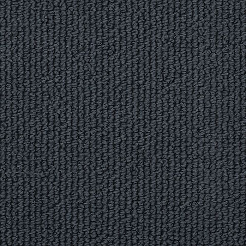 Nouveau Classic in Royalty Carpet