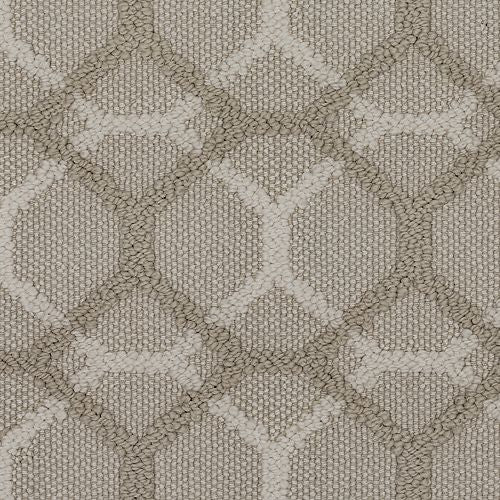 Majestic Vision in Gypsy Moth Carpet