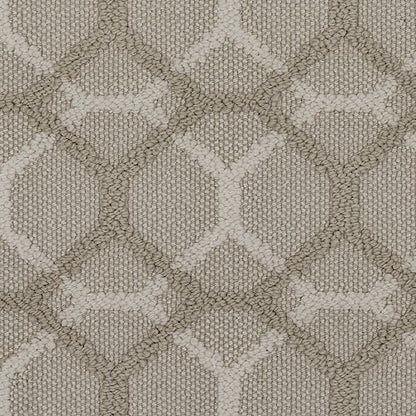 Majestic Vision in Gypsy Moth Carpet