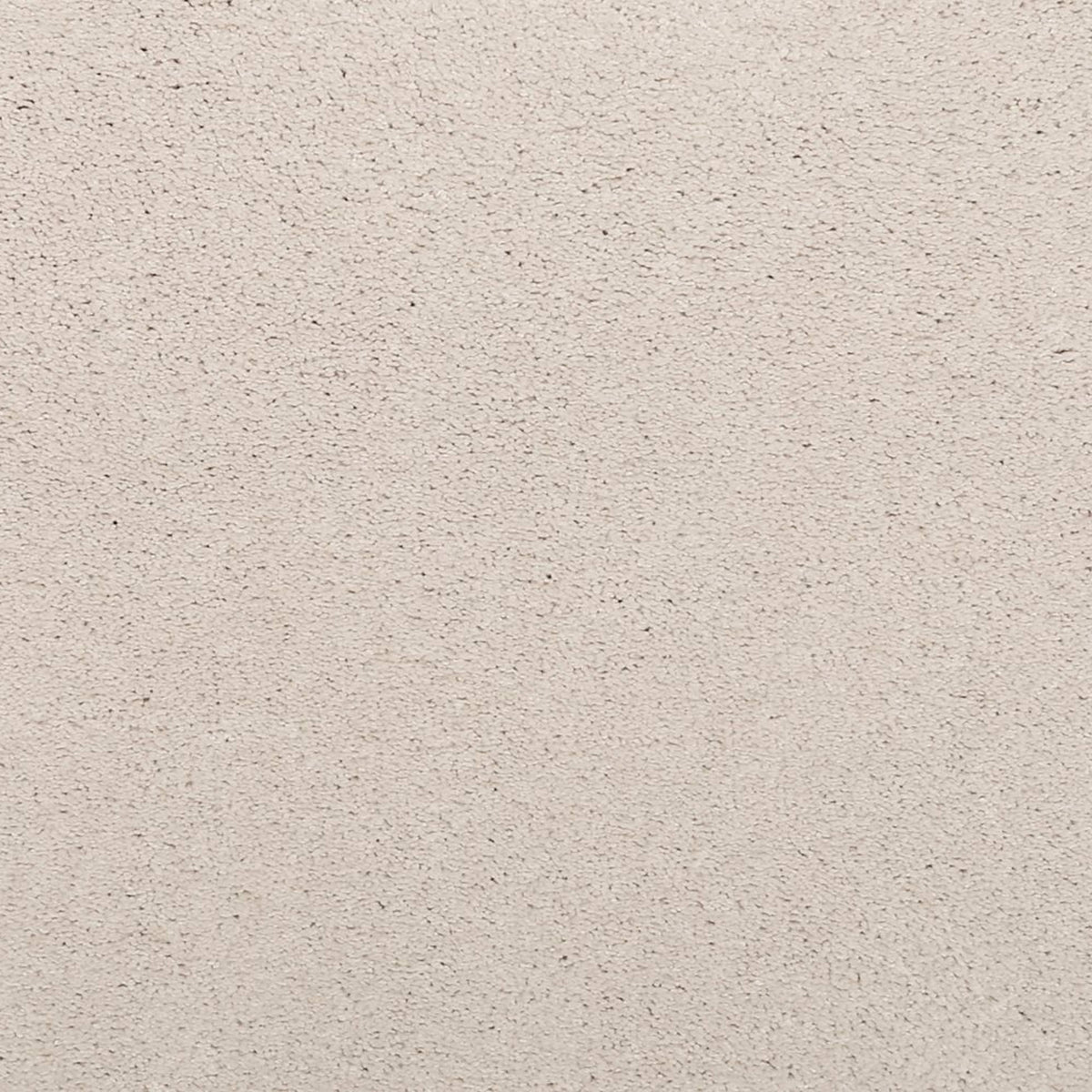 Noble Surface in Old Lace Carpet