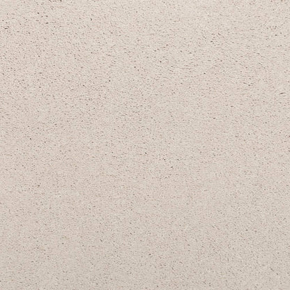 Noble Surface in Old Lace Carpet