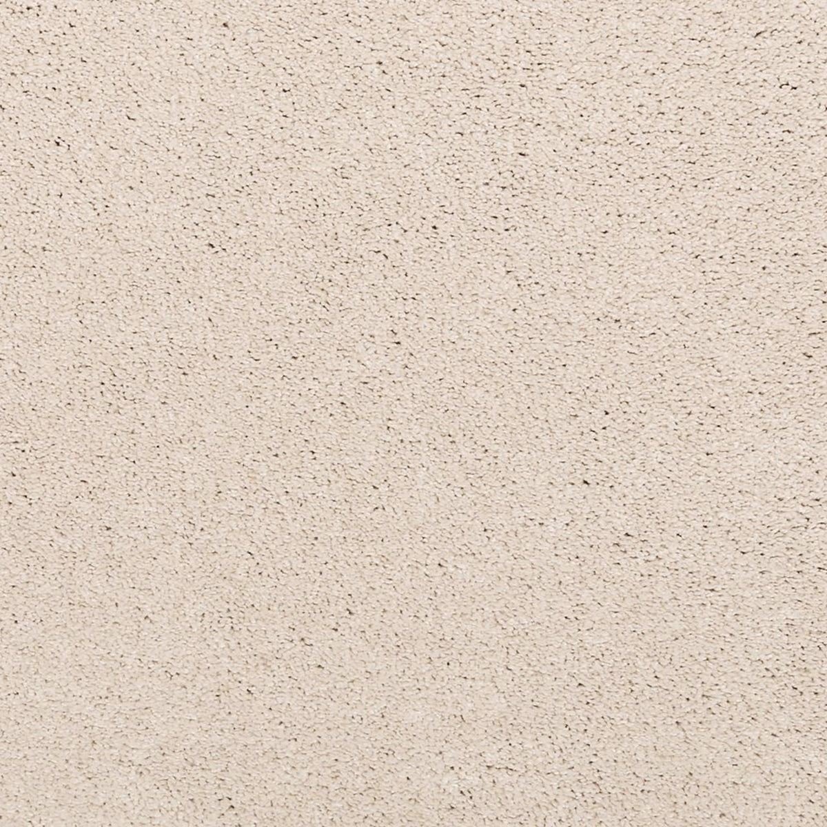 Noble Surface