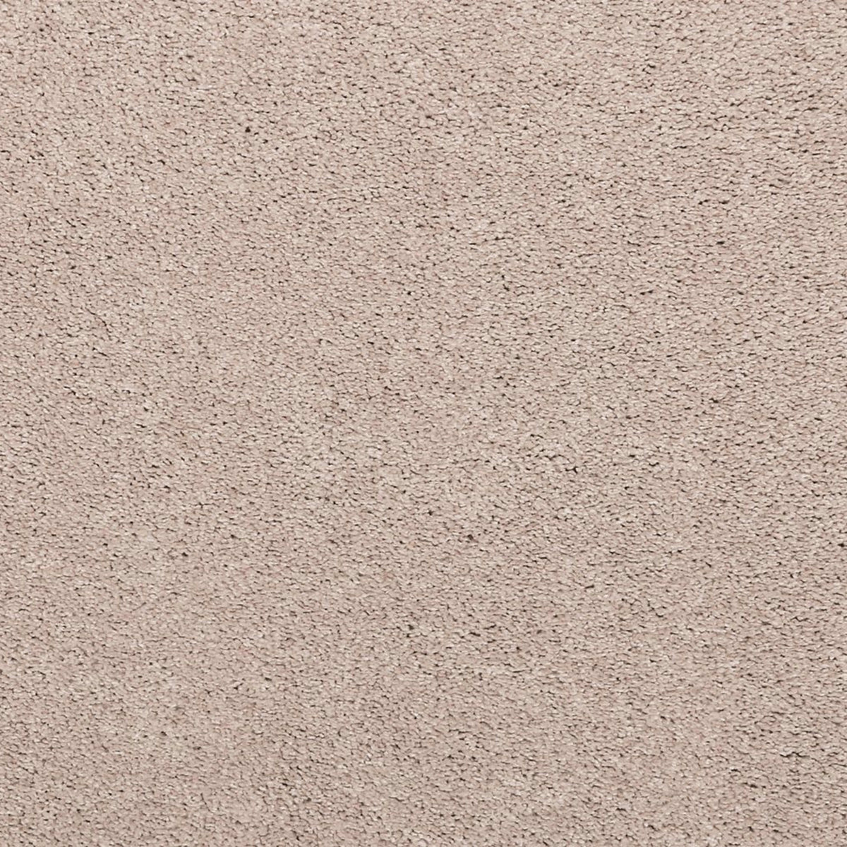 Noble Surface