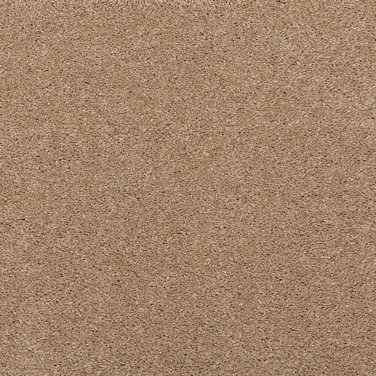 Noble Surface