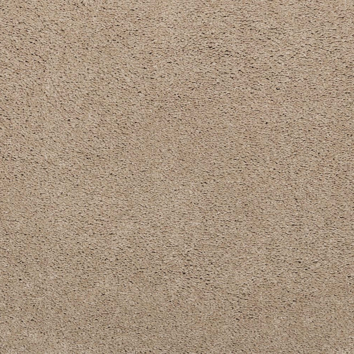 Noble Surface