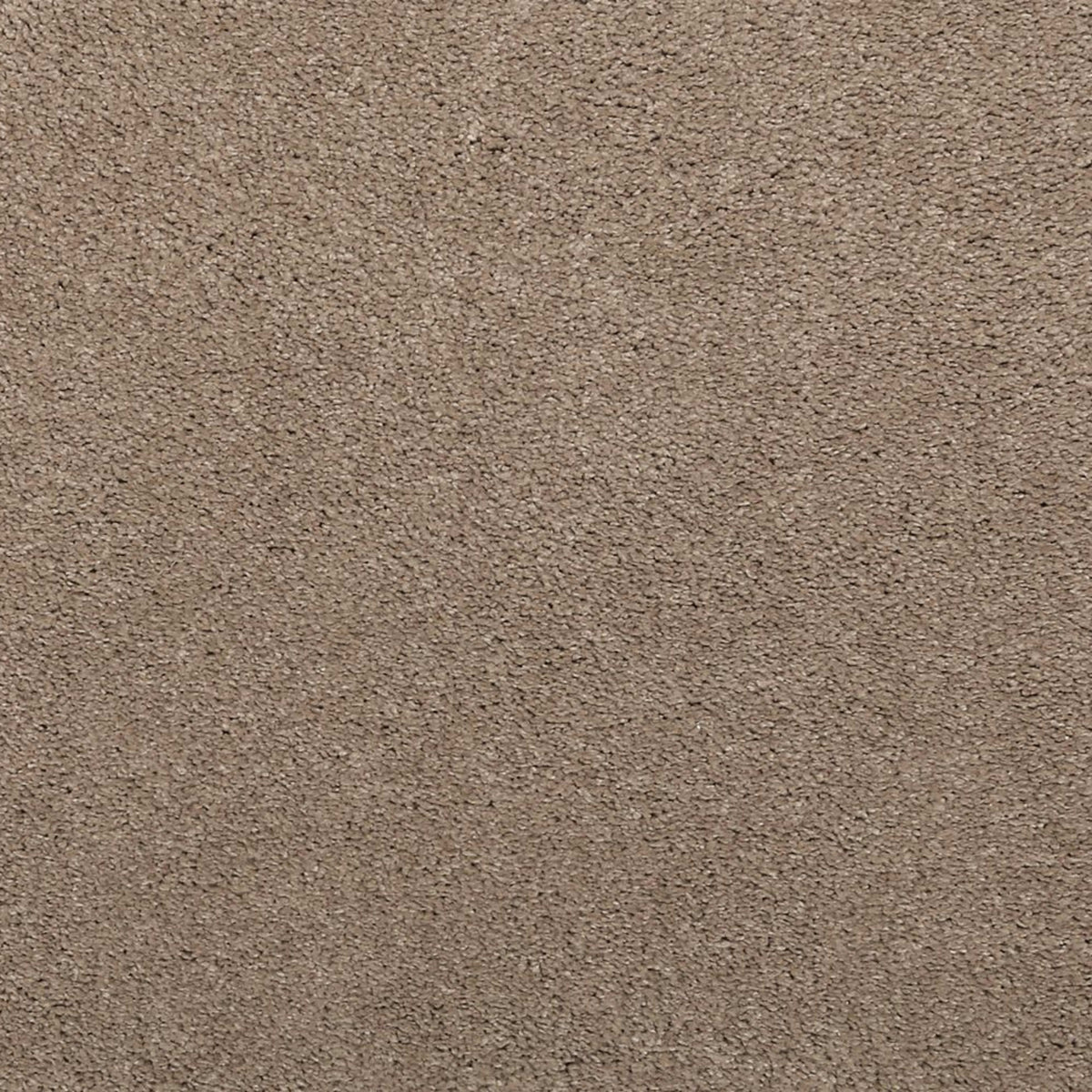 Noble Surface