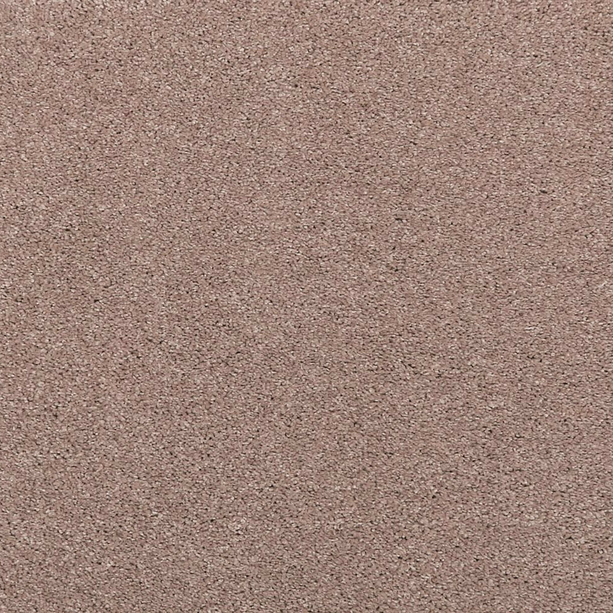 Noble Surface