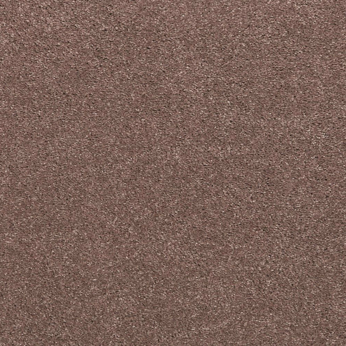 Noble Surface