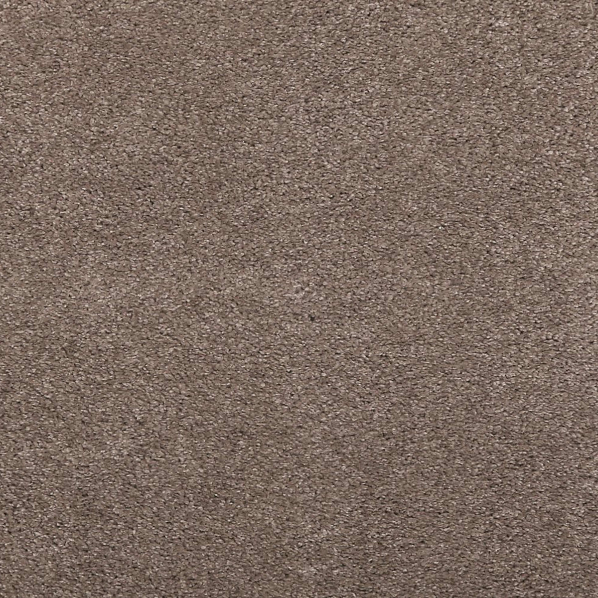 Noble Surface