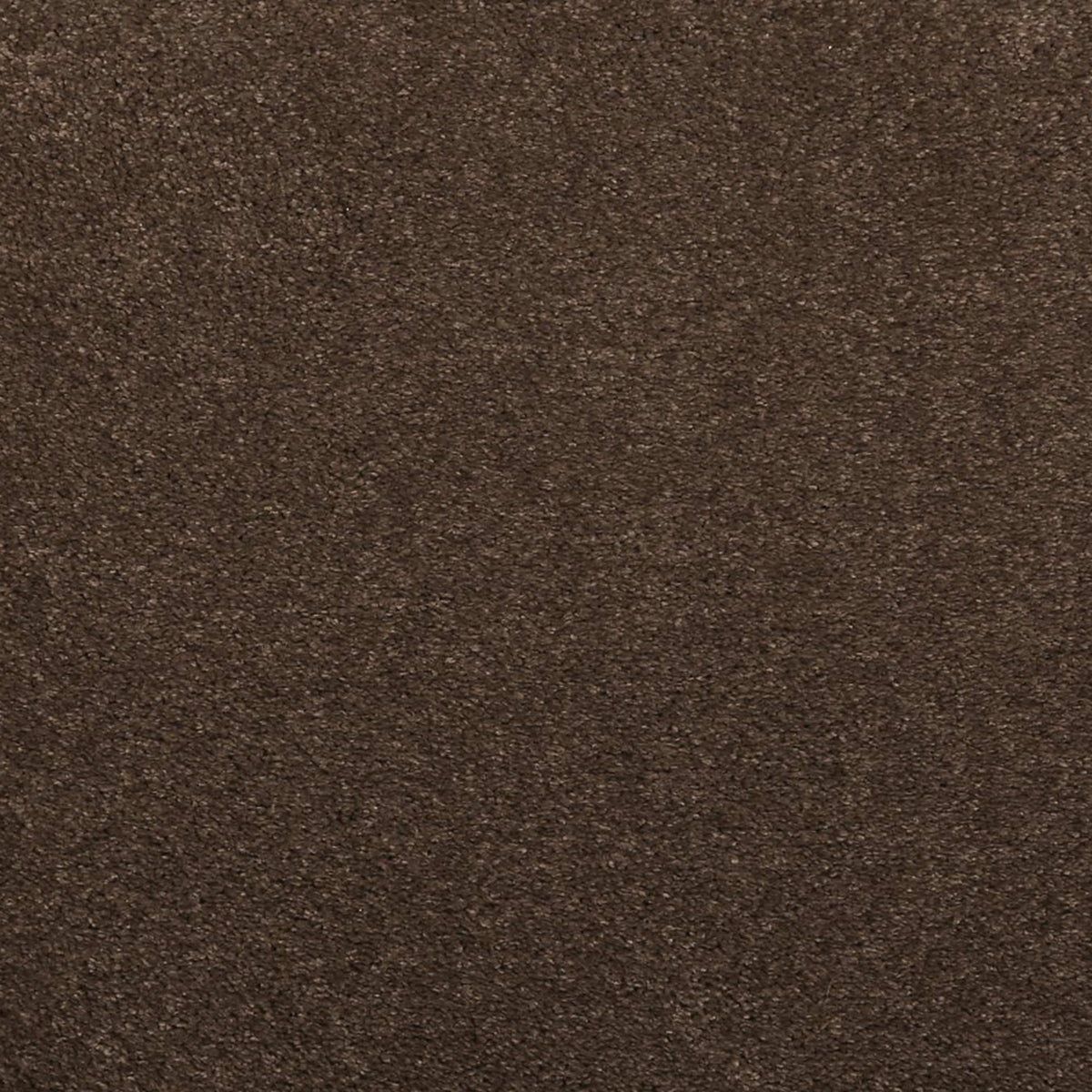 Noble Surface