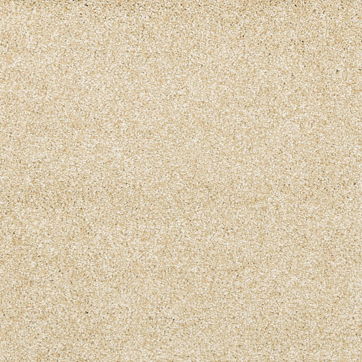 Noble Surface