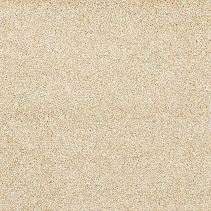 Noble Surface
