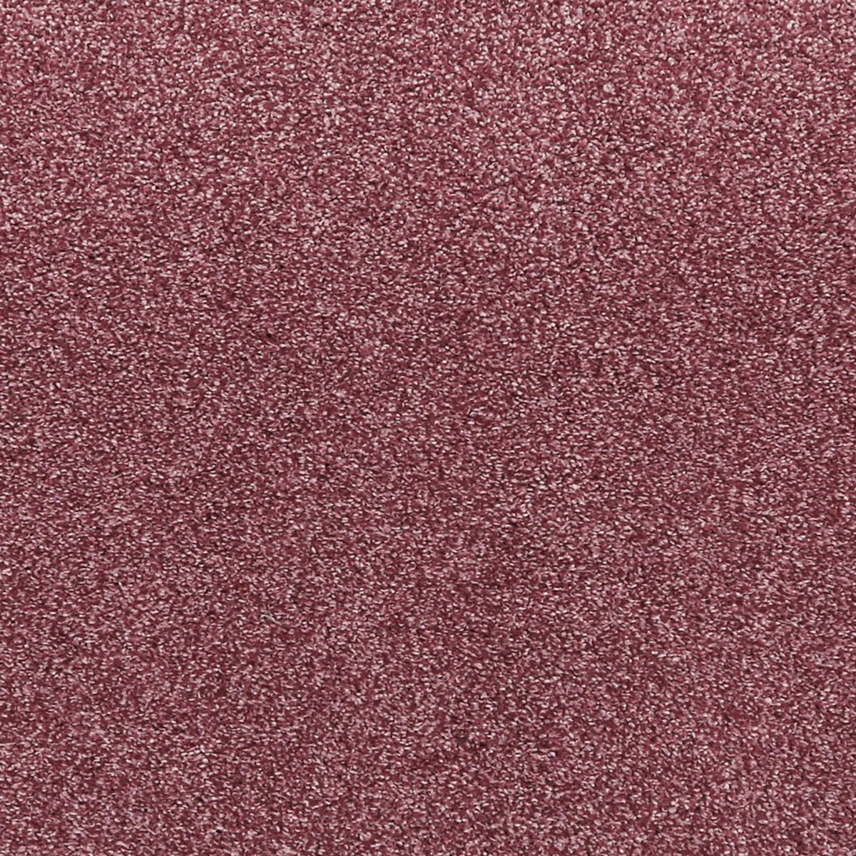 Noble Surface