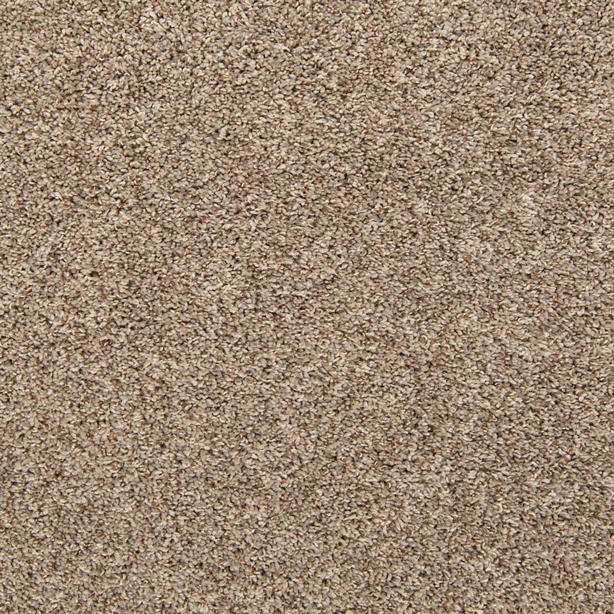 Classic Hues II in Boulevard Carpet