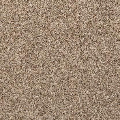 Classic Hues II in Boulevard Carpet