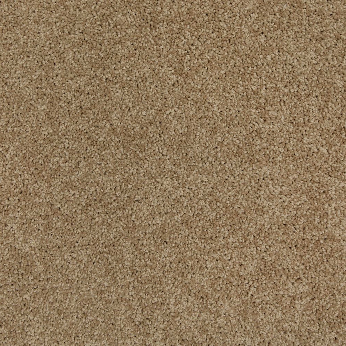 King Of Hearts in Beachcomber Carpet