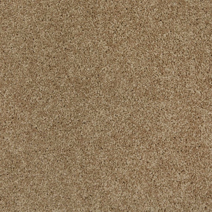 King Of Hearts in Beachcomber Carpet
