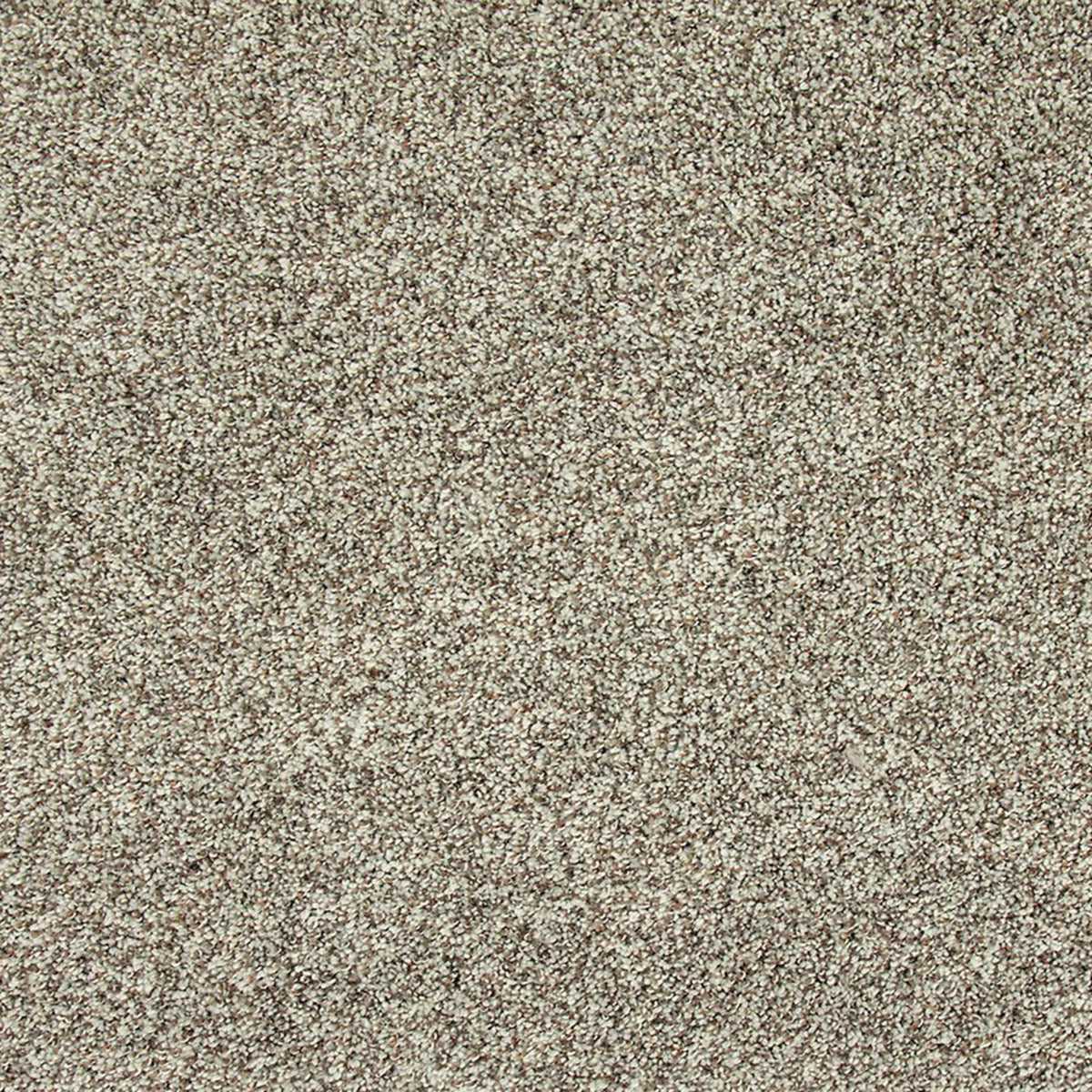 Soft Description II in Wind Fresh Carpet