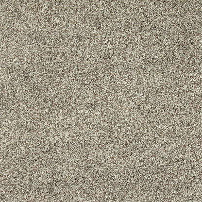 Soft Description II in Wind Fresh Carpet