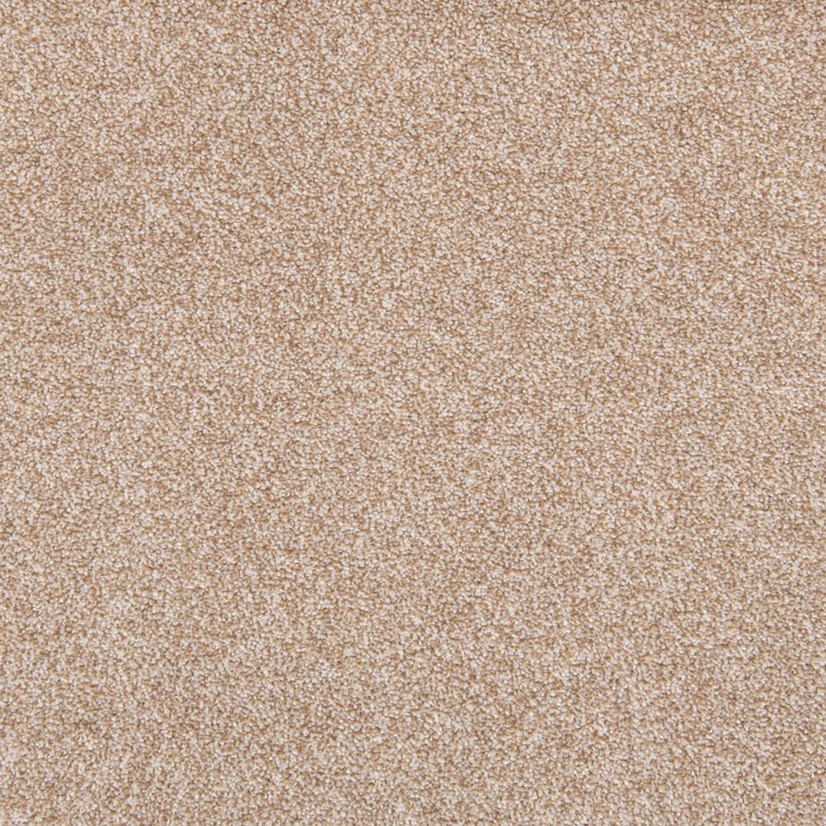Zestful Traits I in Walnut Sage Carpet