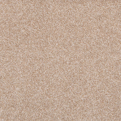 Zestful Traits I in Walnut Sage Carpet