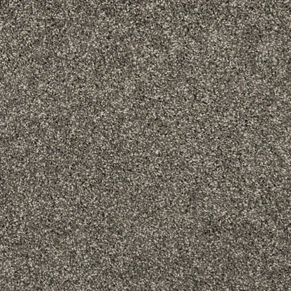 Remodeled I in Steelbeam Carpet