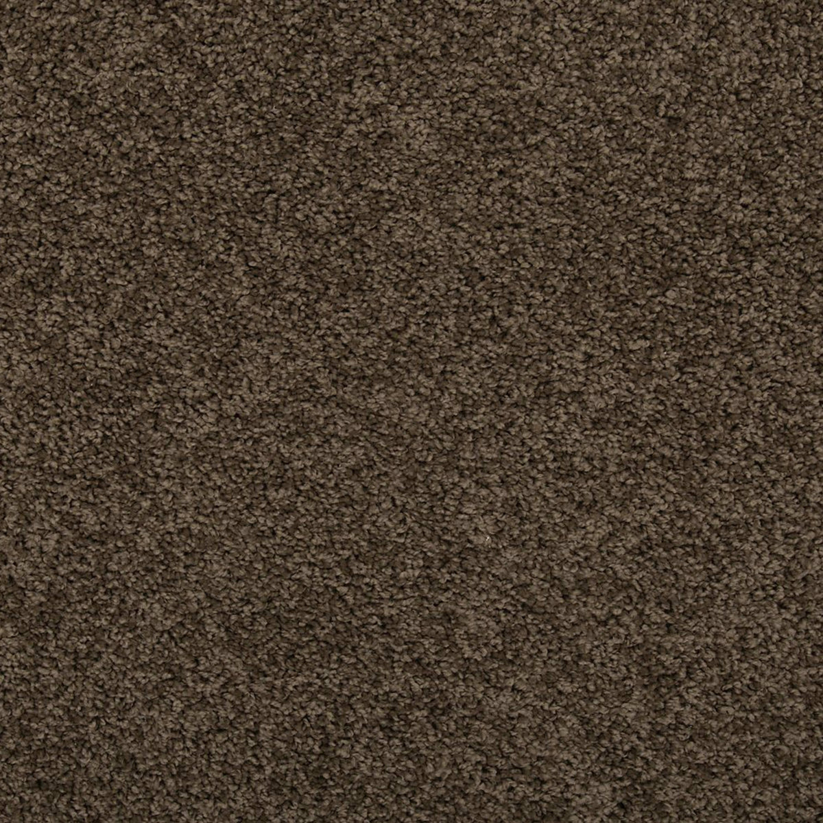 Remodeled II